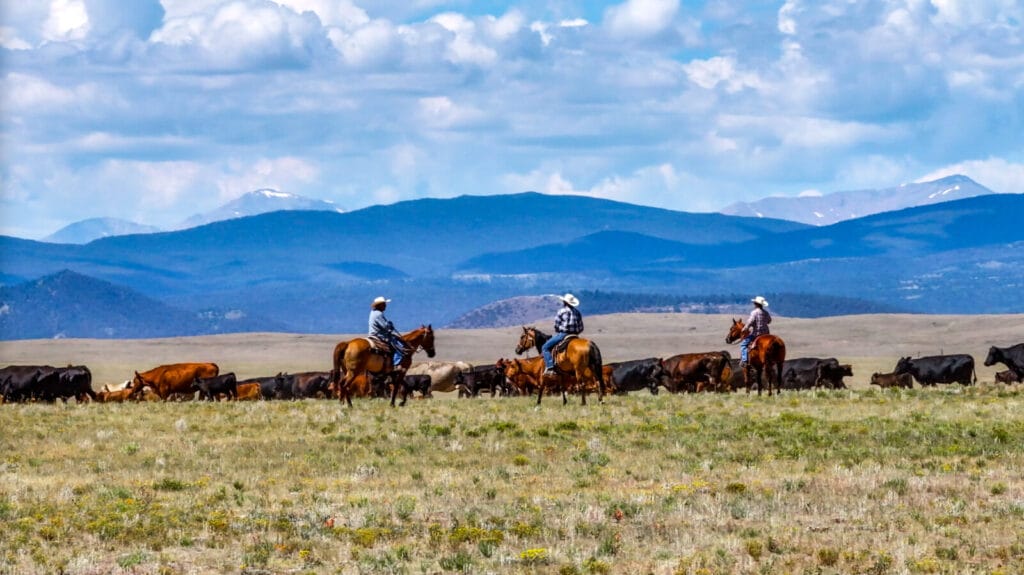 Sustainable Land Management in New Mexico