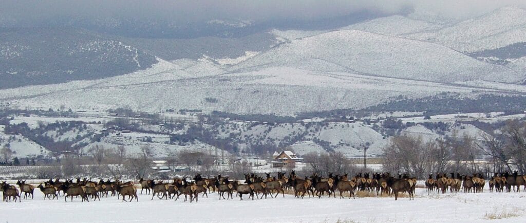 Conservation, Acreage and Land, conserved through Tax Credits