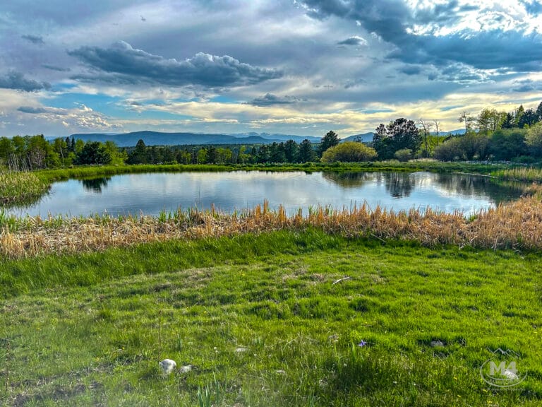 Ponds of water overlooking part of the ranch in New Mexico.